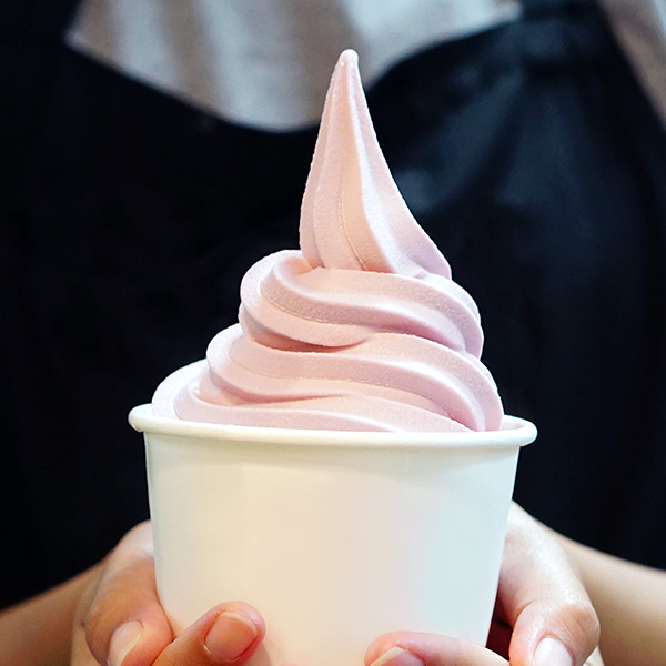 Soft ice cream and frozen yogurt machines Softgel 320 336- soft ice cream or frozen yogurt