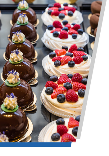 Multi - function Machine Ribot T 10, 18, 30 for pastry and gelato